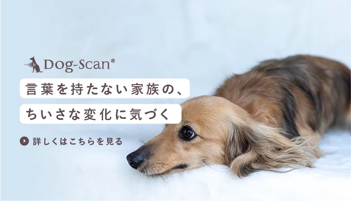 言葉を持たない家族の、ちいさな変化に気づく