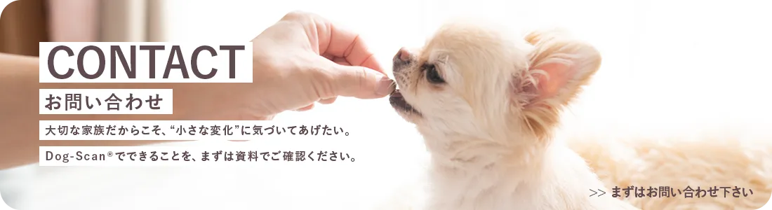 お問い合わせ