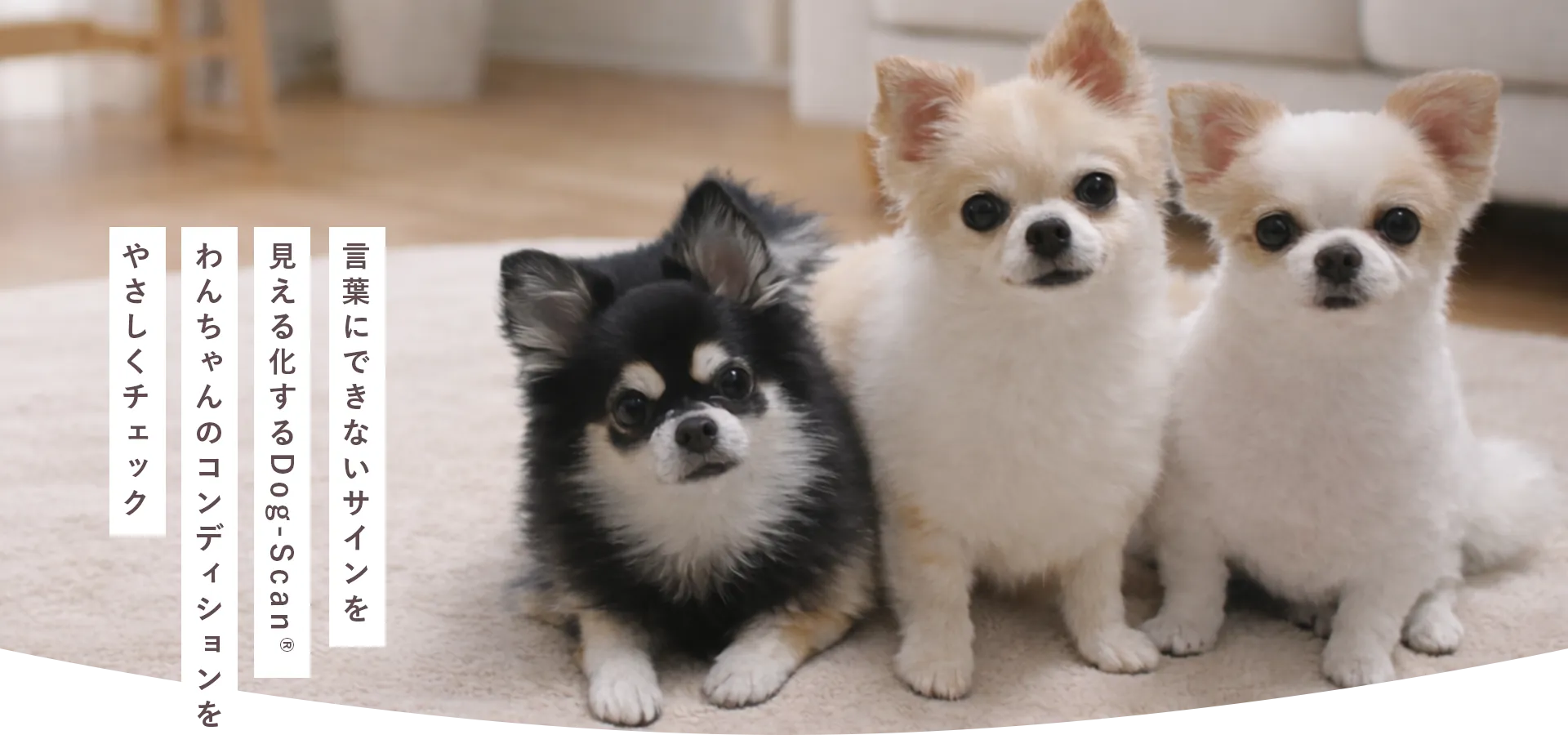 言葉にできないサインを見える化するDog-Scan®わんちゃんのコンディションをやさしくチェック