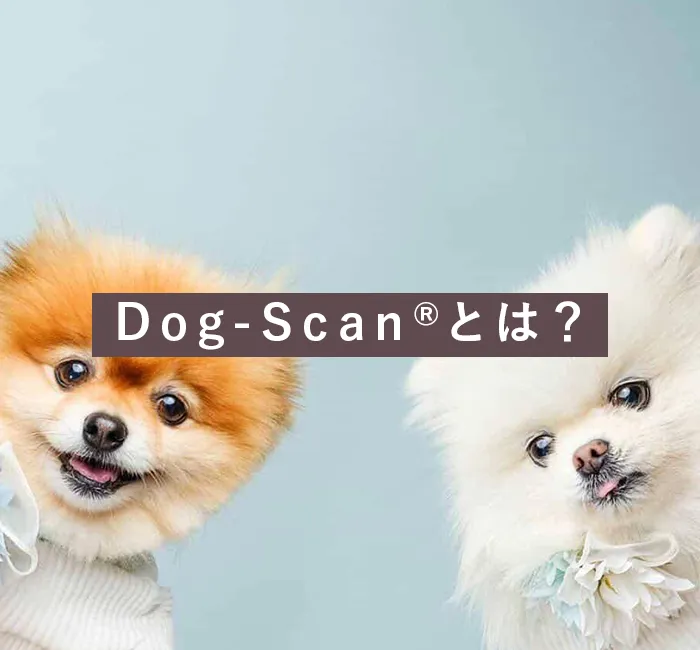 Dog-Scan®とは？