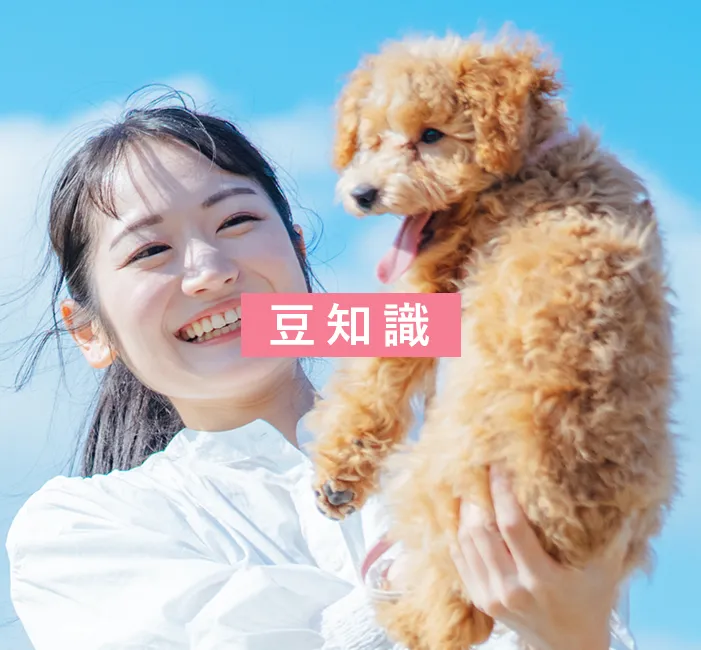 豆知識