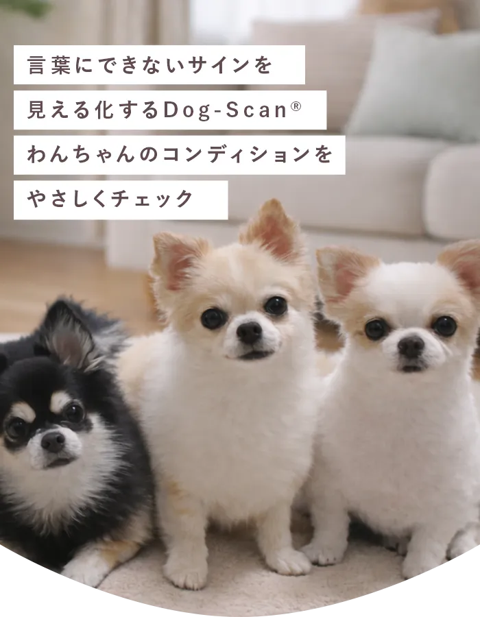 言葉にできないサインを見える化するDog-Scan®わんちゃんのコンディションをやさしくチェック